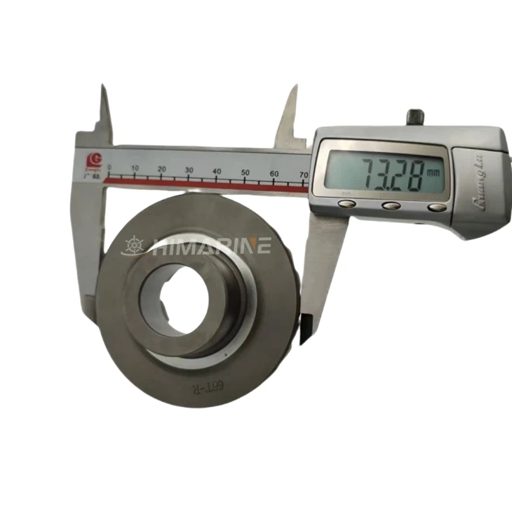 66T-45571-00 Reverse